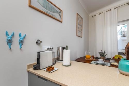 24_4b1a5893_baixa_resoluo